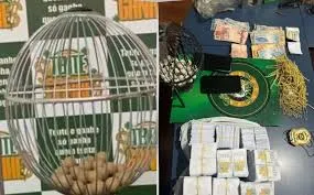 Jogos de azar ilegais funcionavam desde 2023 em Formoso do Araguaia — Foto: DICOM SSP TO