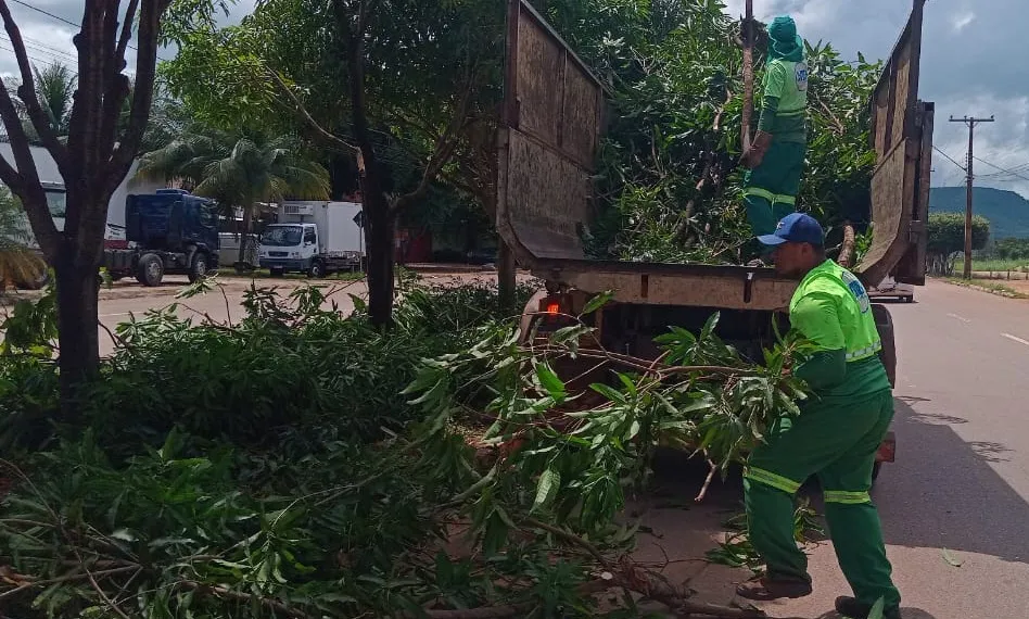 Para atender a demanda, equipes atuam em dois turnos durante a semana e também aos sábados – Foto: Divulgação
